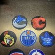 IMG_7032.jpg Toronto Maple Leafs Emblem / Logo