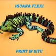 iguana_flexi5.jpg iguana_flexi_printinsitu