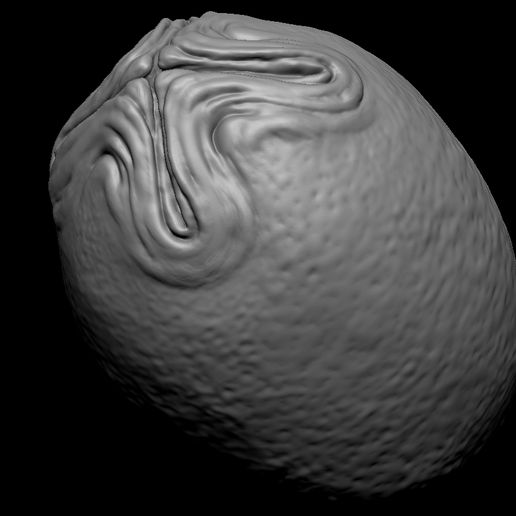 10.jpg OVOMORPHE D'ŒUF EXTRATERRESTRE IMPRIMABLE EN 3D 1979 3 VARIANTES