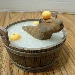 1.jpg Capybara chill'n in a tub with oranges