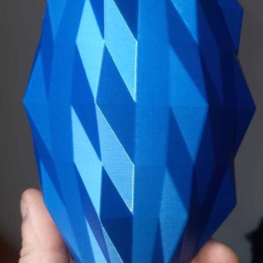 IMG-20240528-WA0006.jpg polygonalx10,15, pitcher