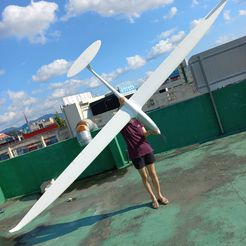 20220906_160809.jpg STL file R/C DIANA-3 Scale Sailplane Wingspan 4m・3D print design to download, rah3