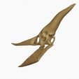 35.jpg Complete Pteranodon