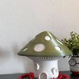 IMG_1837.jpg The Magic Mushroom Lamp!