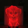 20230630_214140.jpg lion cub litho lamp