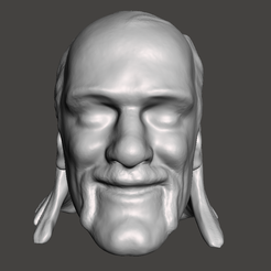 Screenshot-647.png WWE WWF LJN Style Hulk Hogan Head Sculpt