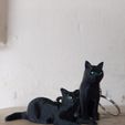 WhatsApp-Image-2023-02-20-at-12.27.50-1.jpeg (x2) Cat keychains