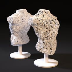 10000.jpg Fichier 3D Torse d'homme・Objet imprimable en 3D à télécharger