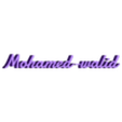 Mohamed-walid.stl Mohamed-walid