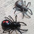 0918192236_HDR.jpg Realistic Spider for Jewelry or Home Decoration