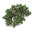 37-1.png Plant And Flowers Home Decor 3D Model 37-40