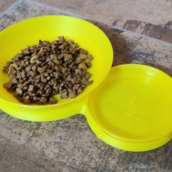 IMG_20240414_112725.jpg Cat Food and Water Bowl Circular with Frame