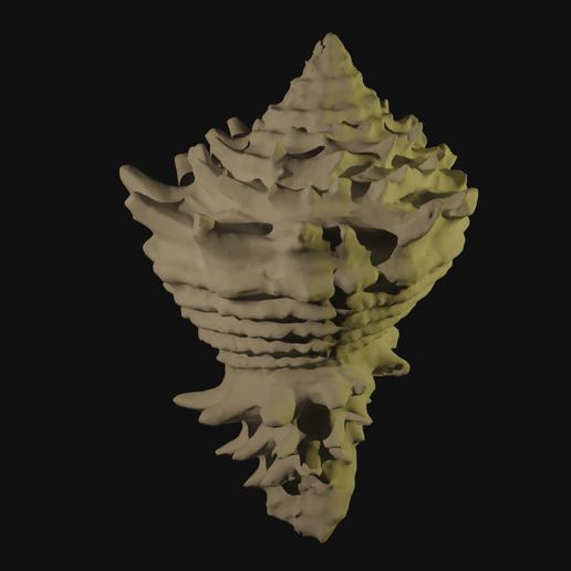 shell.blend10017.png Shell
