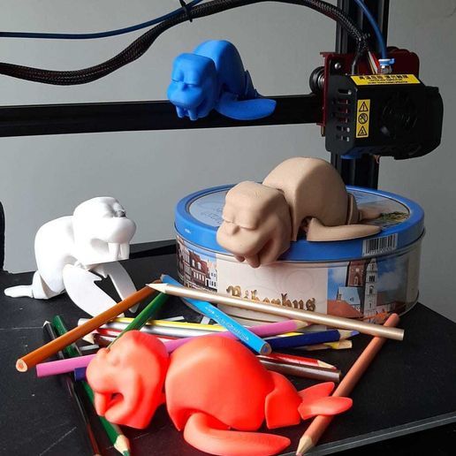 b.jpeg FLEXI PRINT-IN-PLACE WALRUS