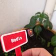 Radis.jpg Vegetable and Herbs labels
