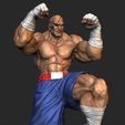 Sagat-.450.jpg SAGAT