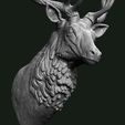 Stag_5.jpg Stag bust