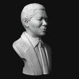 06.jpg Nelson Mandela 3D sculpture 3D print model