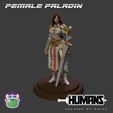 PALADIN-FEMALE-Classes-by-races.jpg Female Paladin