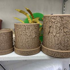 Tree Bark Planter