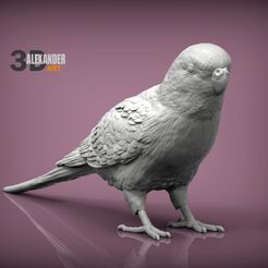 budgerigar-1.jpg STL file Budgerigar 3D print model・Design to download and 3D print