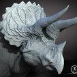 trike5.jpg Triceratops horridus V2