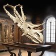 01.jpg CHASMOSAURUS skull