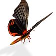 wer.jpg DOWNLOAD BUTTERFLY 3D MODEL - ANIMATED - 3D PRINTING - MAYA - BLENDER 3 - 3DS MAX - UNITY - UNREAL - CINEMA 4D -  OBJ - FBX - 3D PROJECT CREATE AND GAME READY BUTTERFLY INSECT - DRAGON