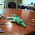 20240424_130235.jpg Flexi Dolphin Key chain - print in place - articulated - fidget toy