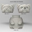 versions-min.png Caja Yorkshire