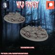Diapositiva1-23-01.jpeg Wild Forest Set (25 Pre-supported miniature bases +2 bonus model)