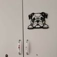 WhatsApp-Image-2024-01-27-at-13.03.33.jpeg Charming Bulldog Peekaboo Wall Art STL File for 3D Printing