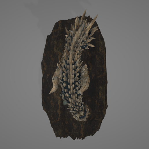 RADOBAAN-FIGURE-11.png MONSTER HUNTER RADOBAAN FIGURE