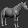 13.jpg Horse Breeds Collection