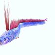 Y.jpg DOWNLOAD Hairtail DOWNLOAD FISH DINOSAUR DINOSAUR Hairtail FISH 3D MODEL ANIMATED - BLENDER - 3DS MAX - CINEMA 4D - FBX - MAYA - UNITY - UNREAL - OBJ -  Hairtail FISH DINOSAUR