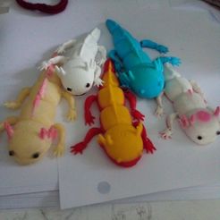 Axolotl Flexible Articulated