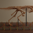 untitled.png Carnotaurus skeleton 60 cm 3d print