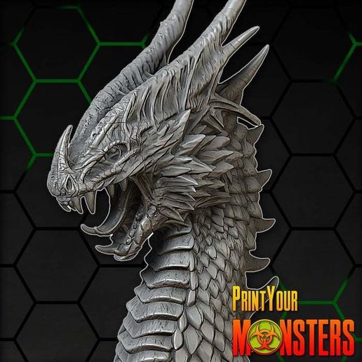 DRAGON I 3D model