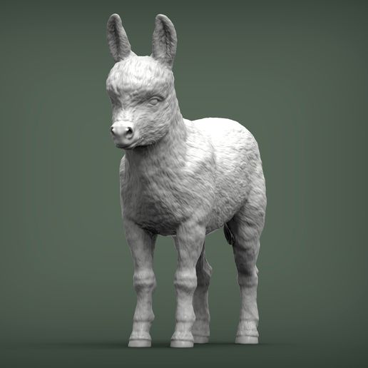 Donkey-baby2.jpg Modelo de impresión 3D de bebé burro