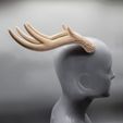 20220812_131640.jpg Large Wavy Antlers | Kiki