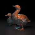 2023-11-28-20_21_49-_-bust-1-C__Users_Berkehan_Desktop_bust-1.blend-Blender-4.0.png Duck sitting and standing duck