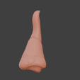 8.png 3D Nose Anatomy Model