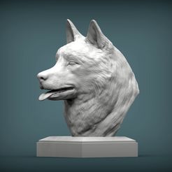 Husky1.jpg Файл STL Husky bust 3D print model・Модель 3D-принтера для скачивания