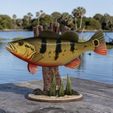Peacock-Bass-Fish-model-natural-base-trophy_.jpg Peacock bass (Cichla ocellaris) fish trophy in motion sculpture 2 underwater detailed texture for 3d printing