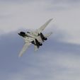 F-14-In-Flight-3.jpg F-14 RC Aircraft (Twin 50mm Fan, 1050mm span)