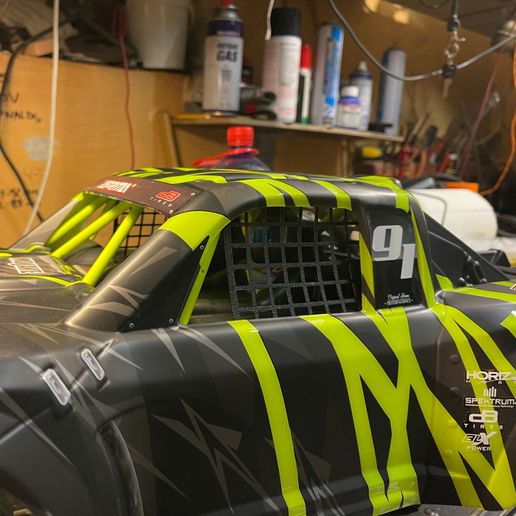 _OCMGEO8.jpeg Arrma Mojave Side Window Net