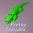 scene_krocodile_title_carre.jpg Pretty Crocodile