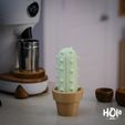 DSCF5016.jpg Bonitos cactus para decorar el hogar - Print in Place