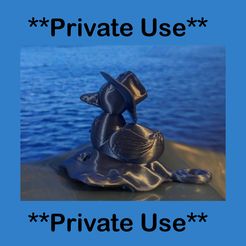 Private-Use.jpg Shérif Ducky ** Usage privé**