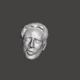 2022-05-06-00_11_18-Window.png nicolas cage's head for personalized figures .stl .obj